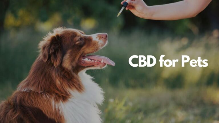 CBD for Pets