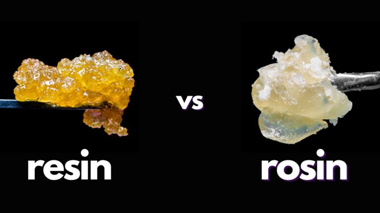 Resin Vs Rosin