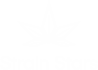 Strain Stars Logo White